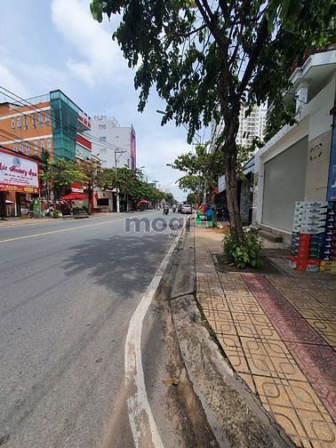 4297888 ảnh đại diện 1