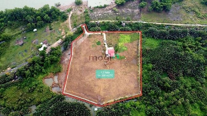 4297985 ảnh đại diện 1