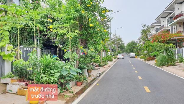 4297427 ảnh đại diện 1