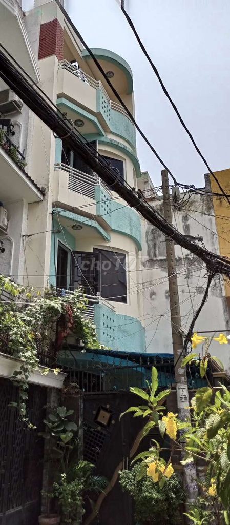 4296312 ảnh đại diện 1