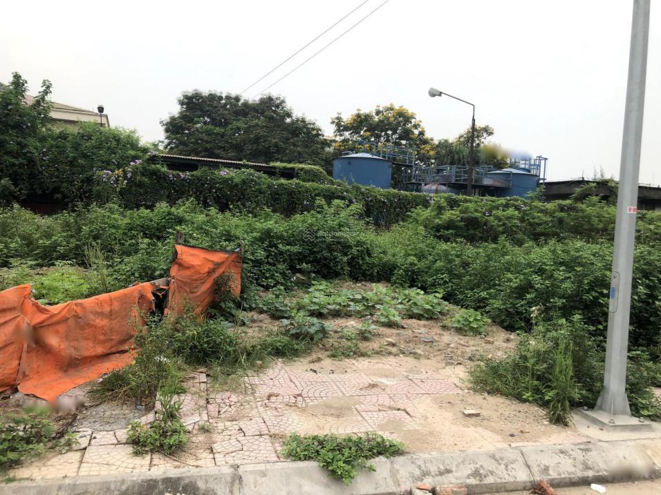 4300706 ảnh đại diện 2