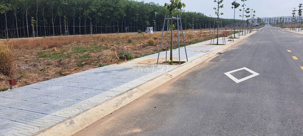4298960 ảnh đại diện 1