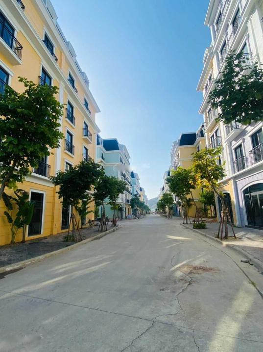 4299006 ảnh đại diện 1