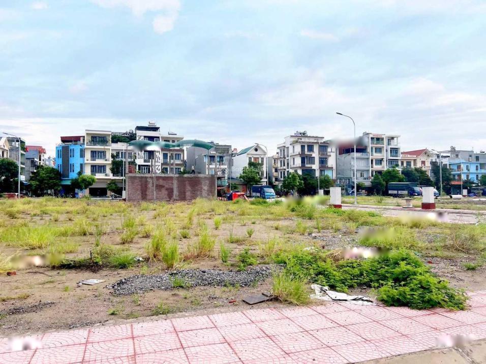 4300694 ảnh đại diện 1