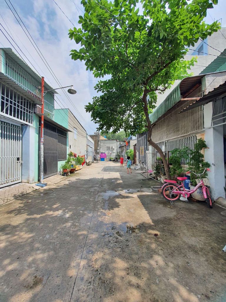 4299363 ảnh đại diện 2