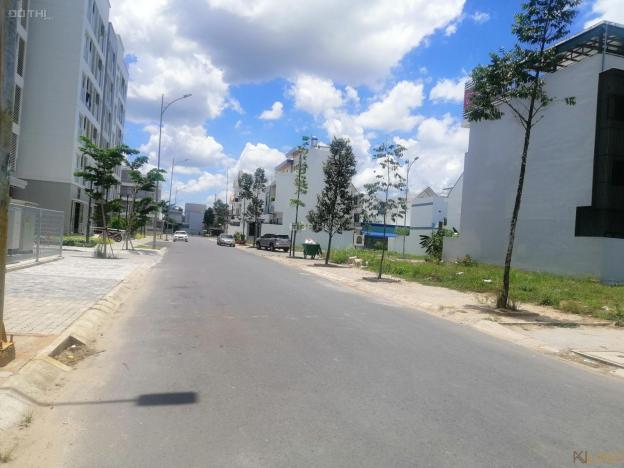 4300916 ảnh đại diện 2