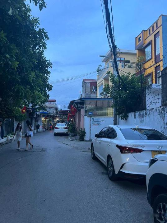 4300705 ảnh đại diện 1