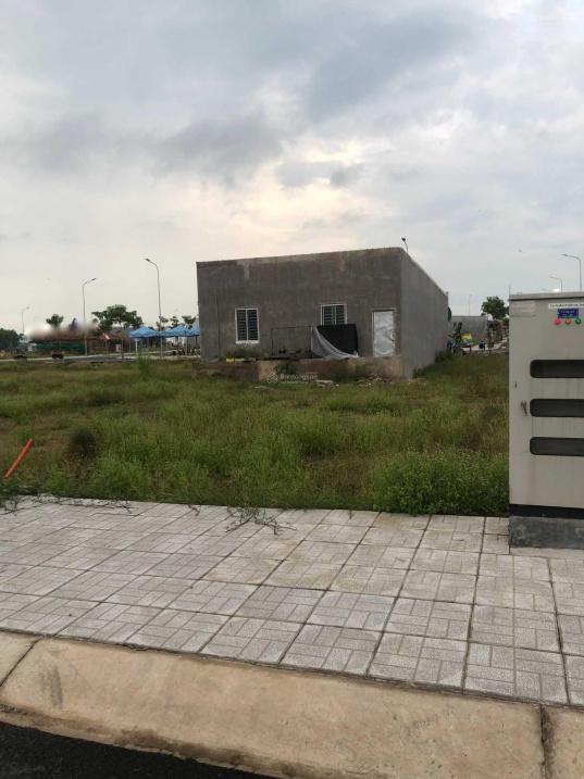4301521 ảnh đại diện 1