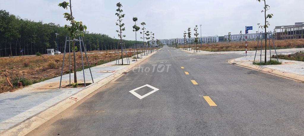 4298960 ảnh đại diện 2
