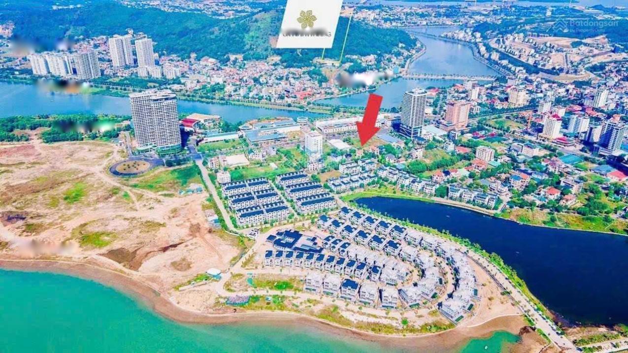 4298976 ảnh đại diện 1