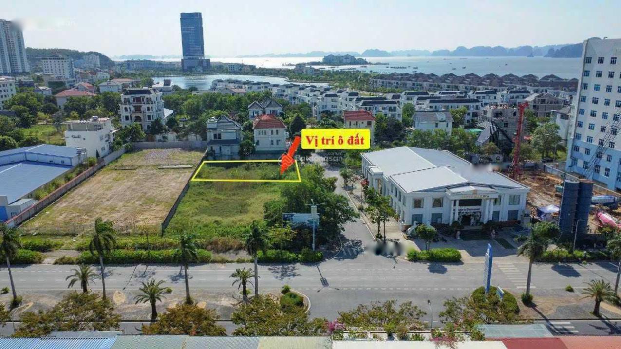 4298976 ảnh đại diện 1