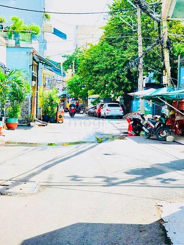 4298577 ảnh đại diện 2