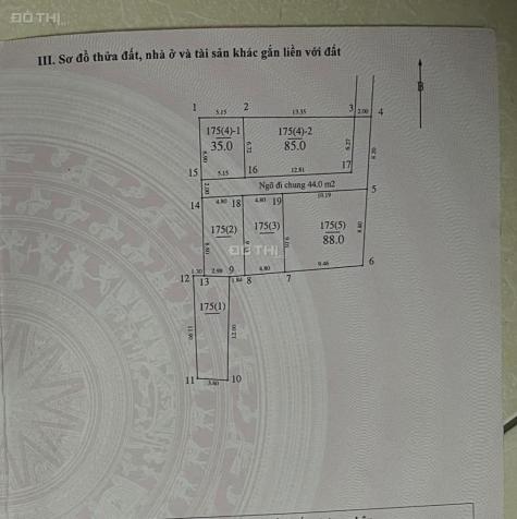 4299134 ảnh đại diện 2