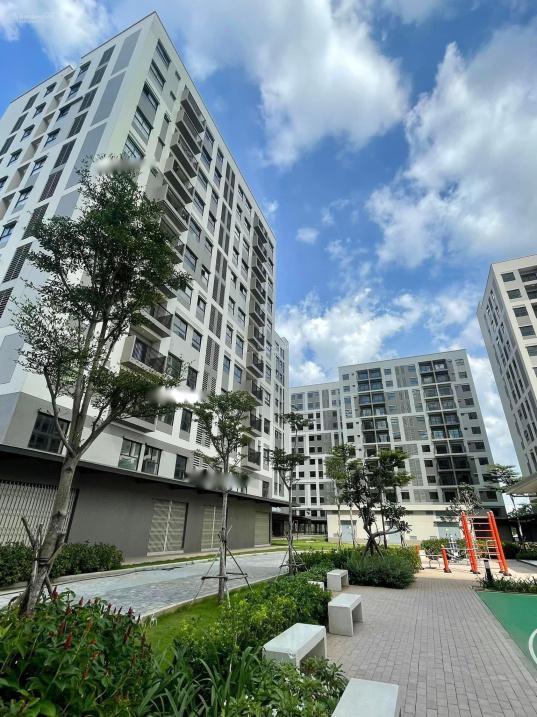 4299046 ảnh đại diện 1