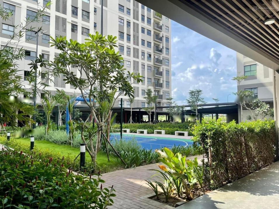 4299038 ảnh đại diện 2