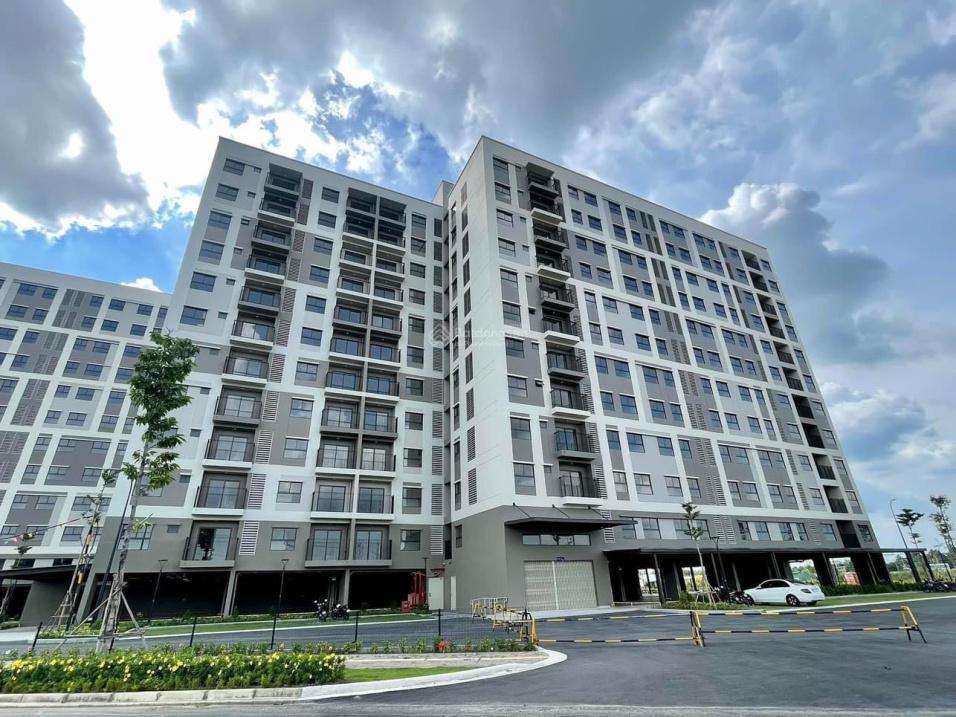 4299038 ảnh đại diện 1