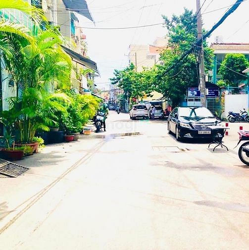 4298577 ảnh đại diện 1