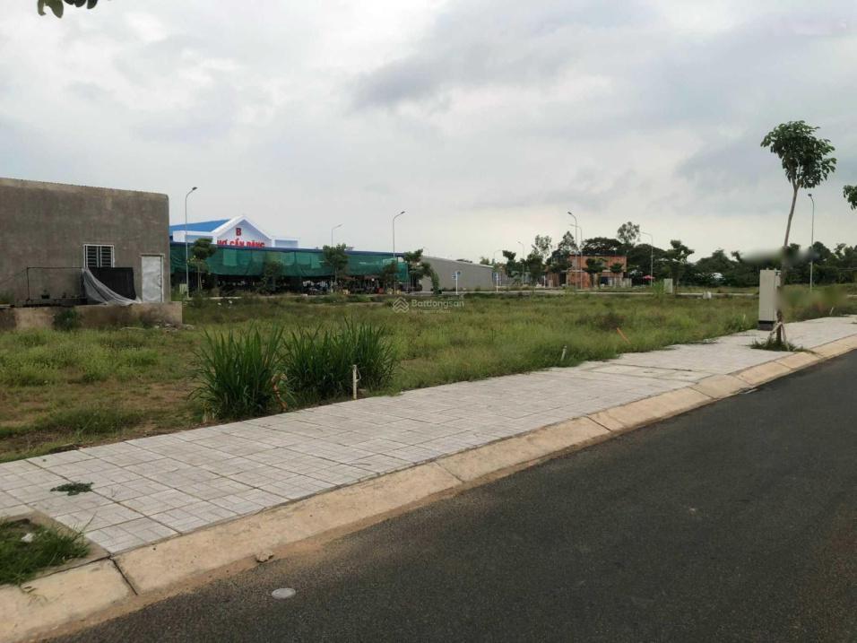 4301521 ảnh đại diện 1