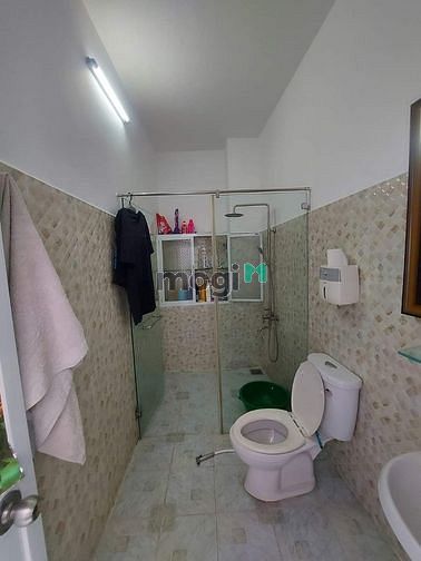 4299570 ảnh đại diện 2