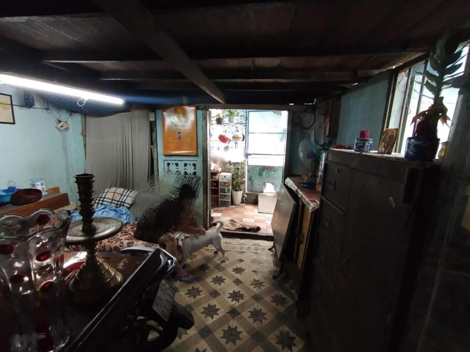 4299019 ảnh đại diện 1