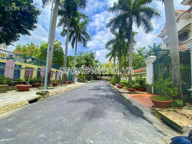 4300161 ảnh đại diện 1
