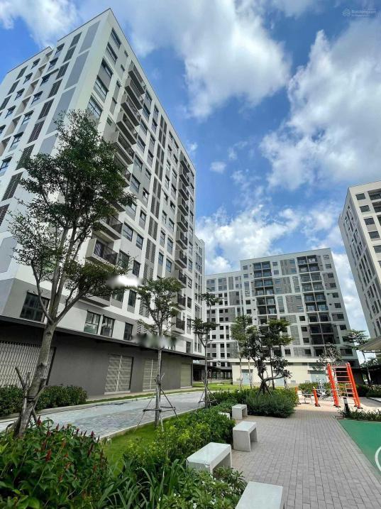 4299030 ảnh đại diện 1