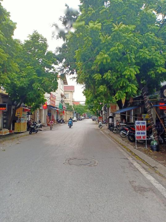 4301055 ảnh đại diện 2