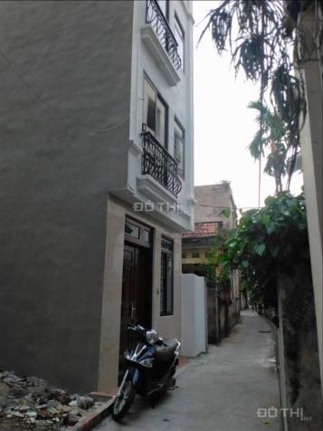 4301276 ảnh đại diện 1