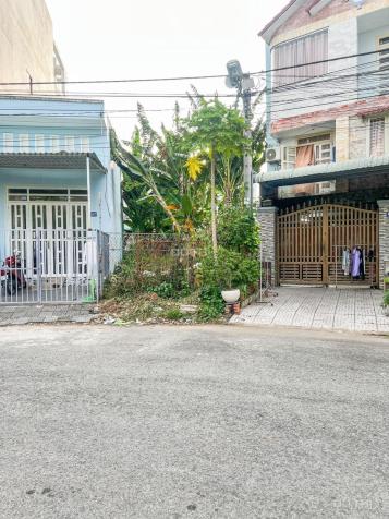 4299137 ảnh đại diện 1