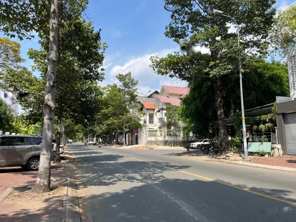 4301109 ảnh đại diện 2