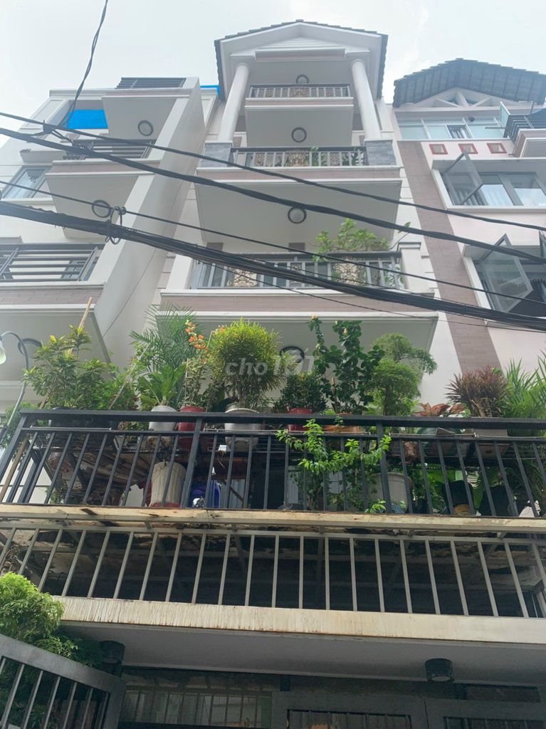 4298920 ảnh đại diện 1