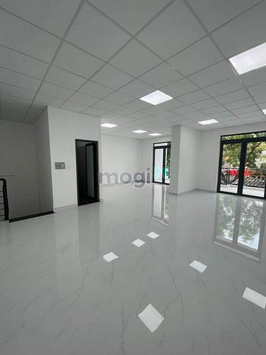 4300582 ảnh đại diện 1