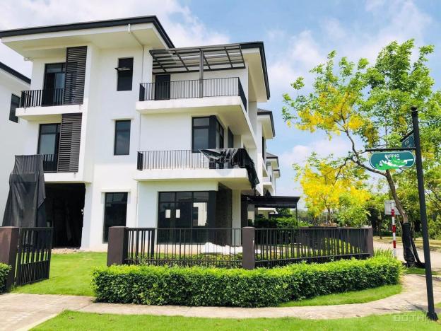 4299752 ảnh đại diện 1