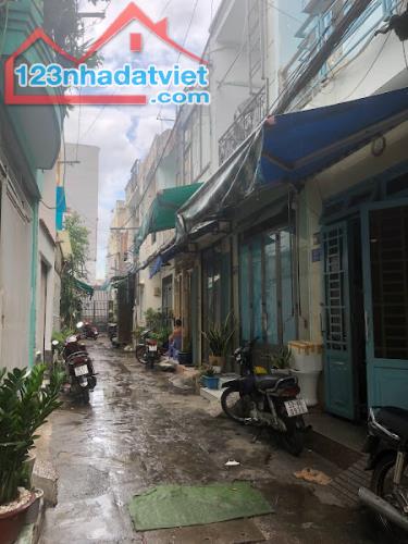 4298530 ảnh đại diện 1