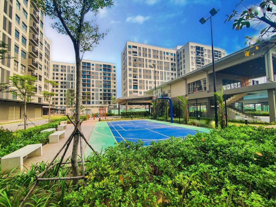 4299029 ảnh đại diện 2