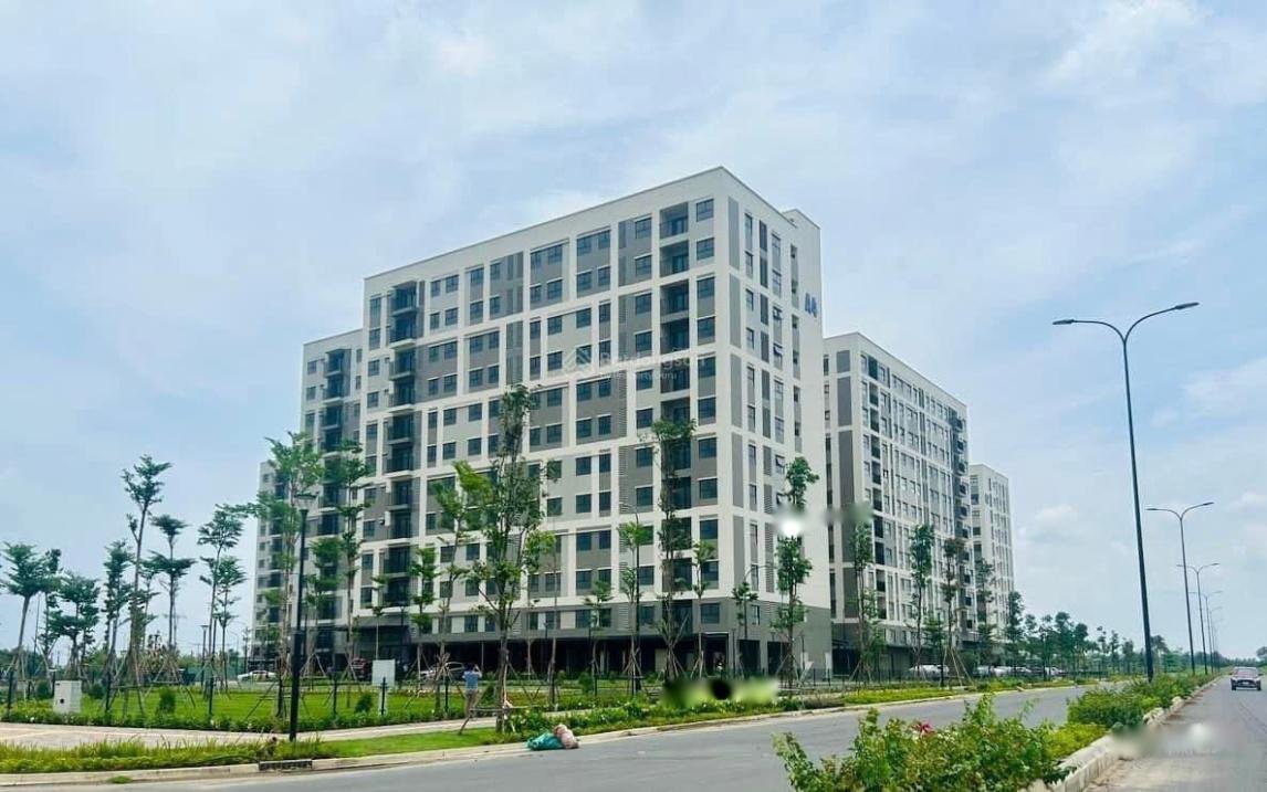 4299046 ảnh đại diện 2