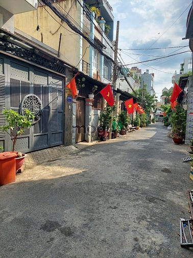 4300963 ảnh đại diện 1