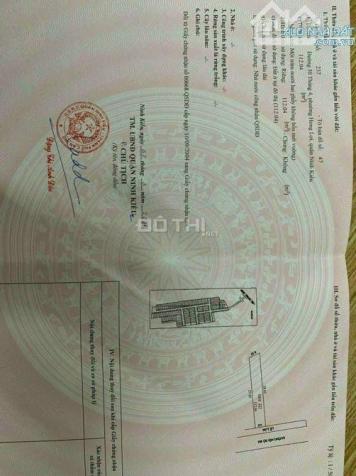 4299147 ảnh đại diện 1
