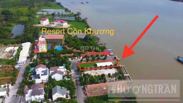 4299139 ảnh đại diện 2