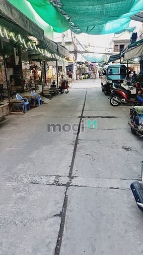 4299370 ảnh đại diện 2