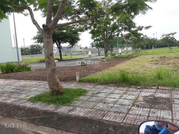 4300916 ảnh đại diện 1