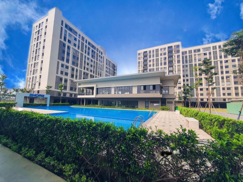 4299029 ảnh đại diện 1