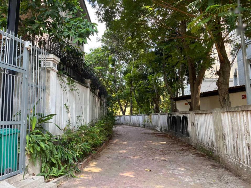 4301109 ảnh đại diện 1
