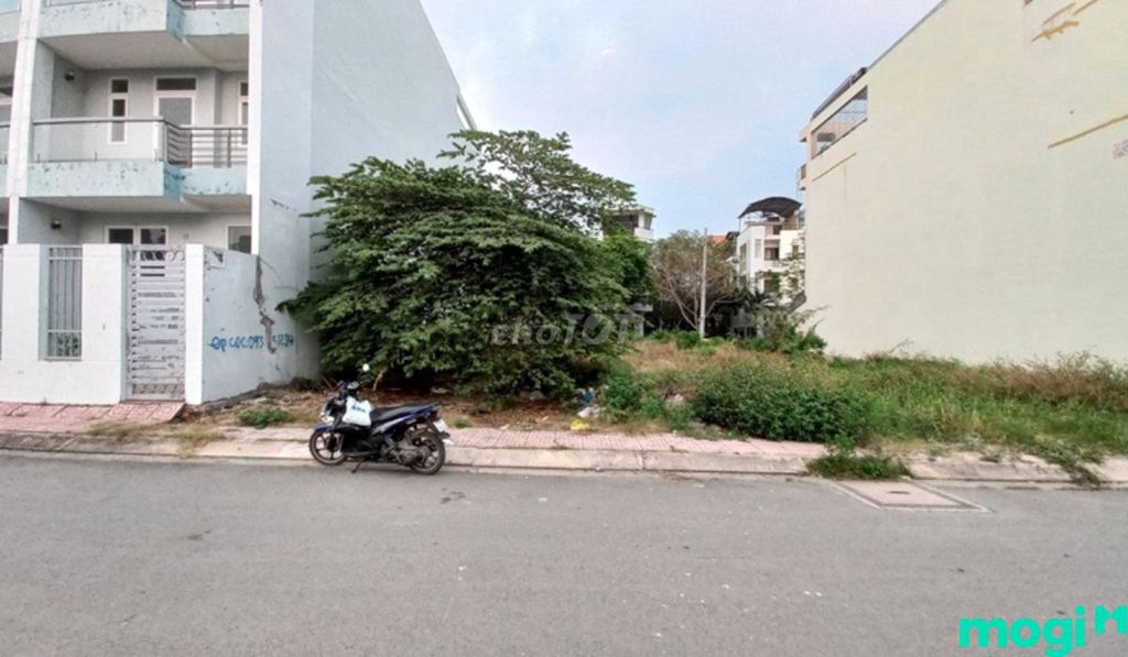4299716 ảnh đại diện 1