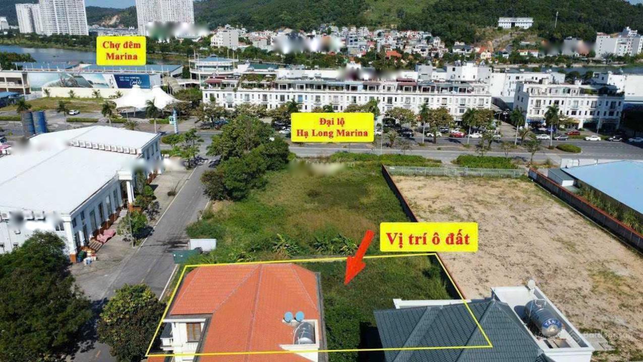 4298976 ảnh đại diện 2