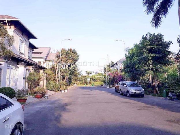 4299345 ảnh đại diện 1