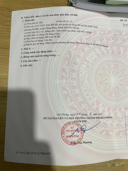 4300706 ảnh đại diện 1