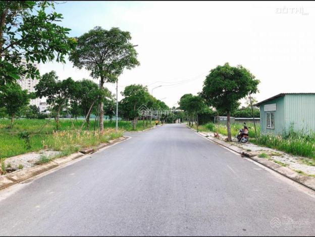 4299145 ảnh đại diện 1