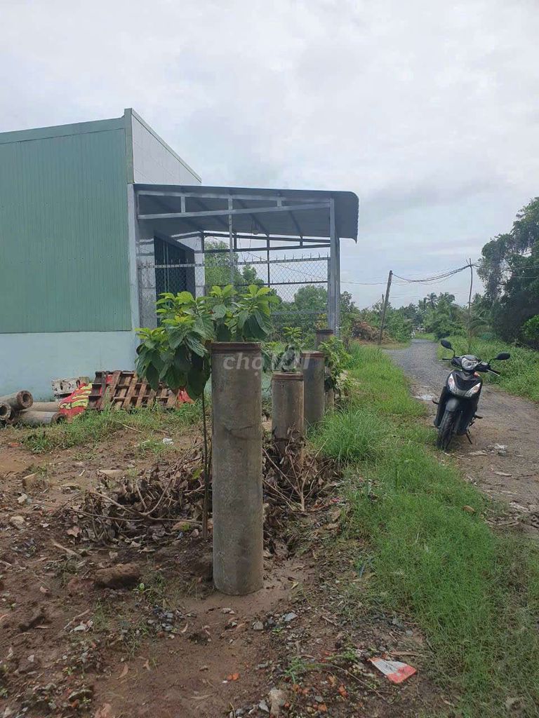 4299718 ảnh đại diện 2
