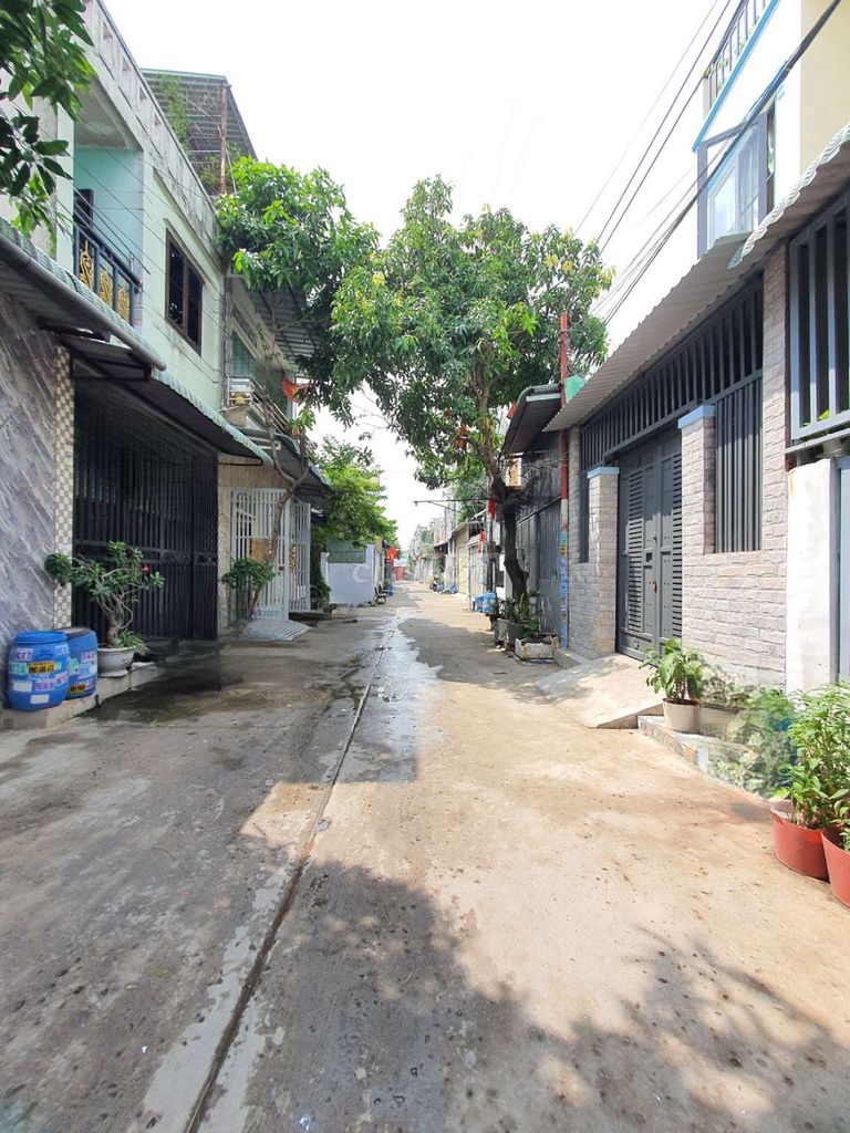 4299363 ảnh đại diện 1